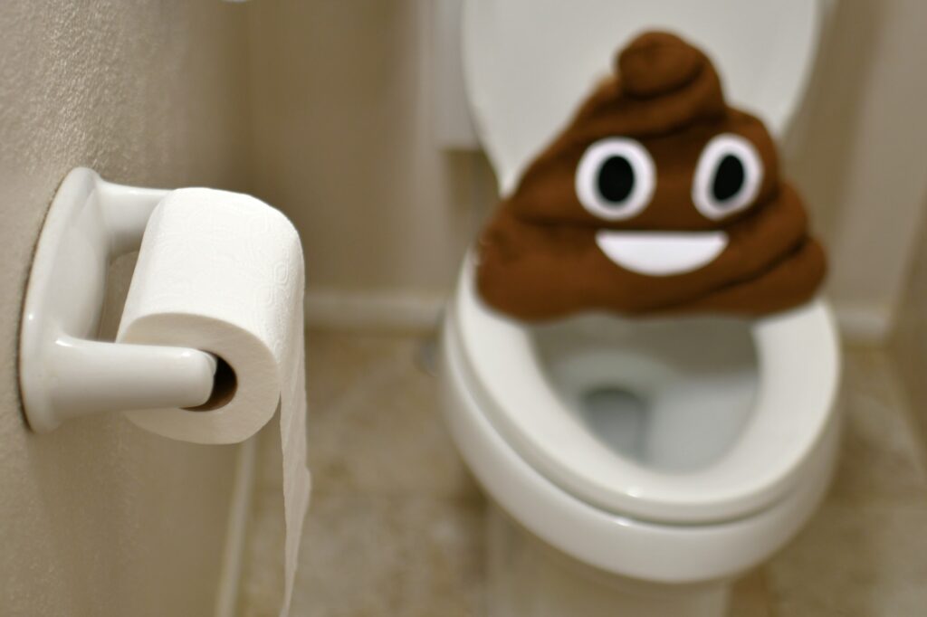 Concept of Gastrointestinal issues, diarrhea, constipation, stomach bug, bathroom, toilet,